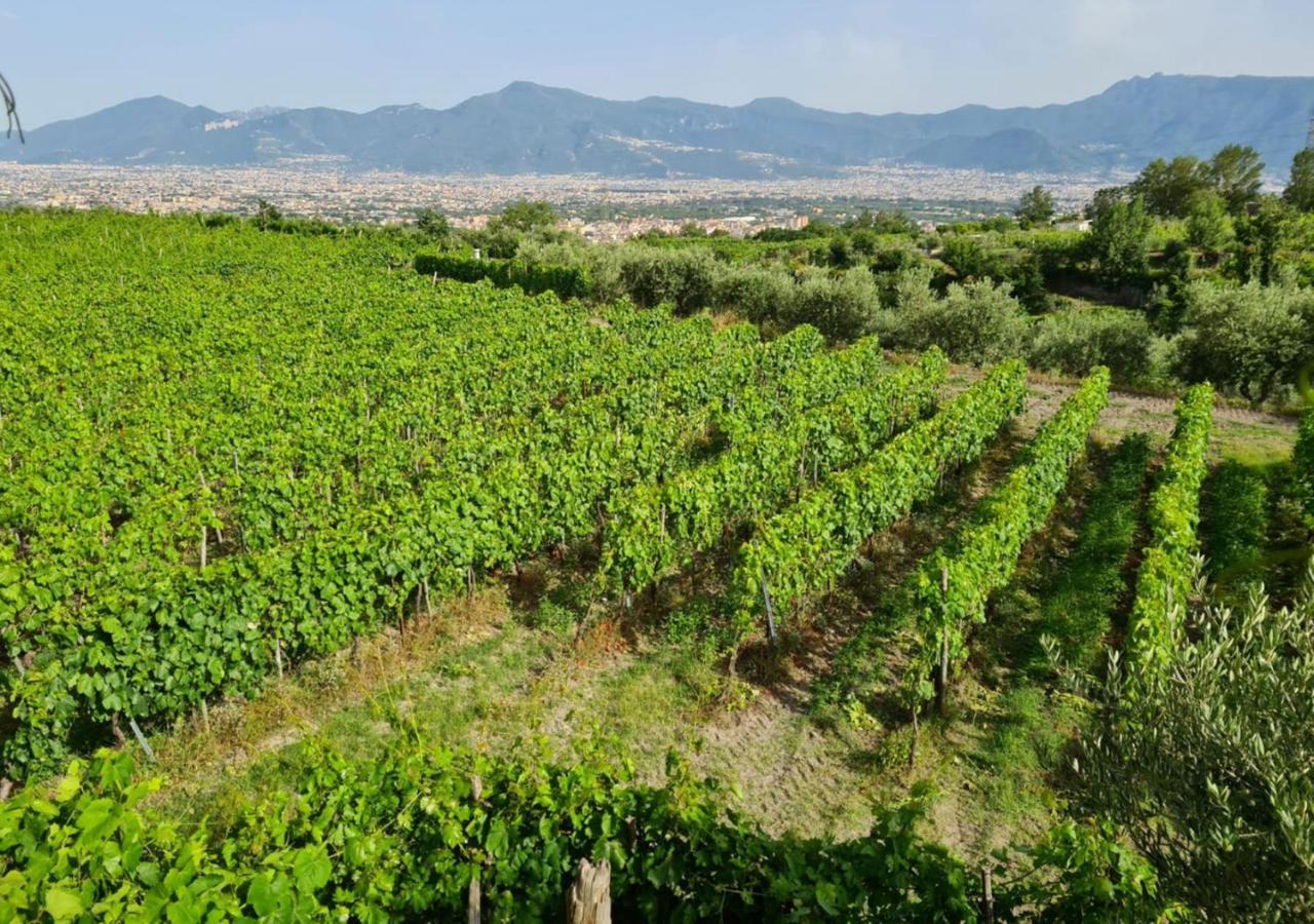 Vesuvio Inn Bed & Wine Experience Boscotrecase Екстериор снимка