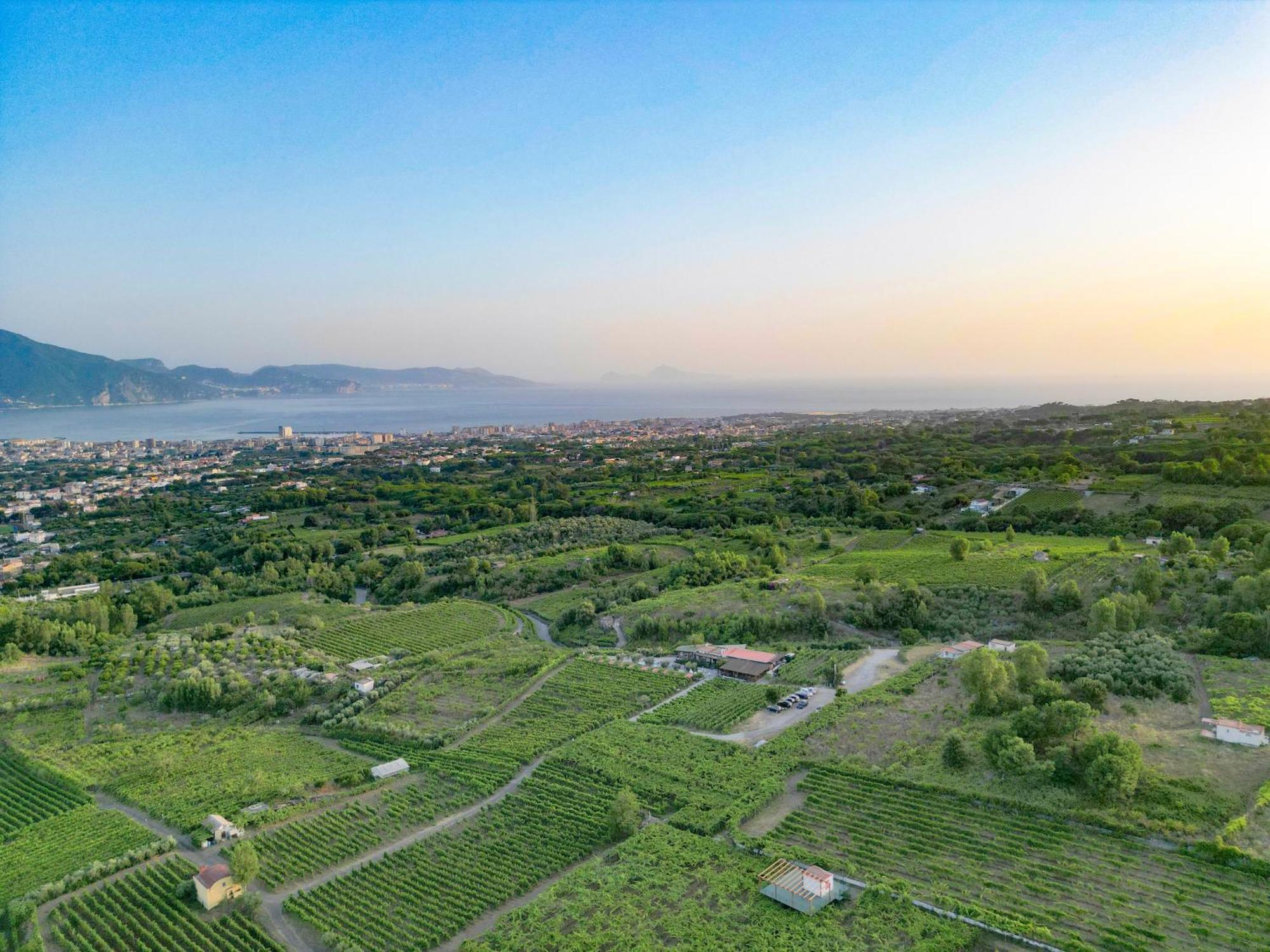 Vesuvio Inn Bed & Wine Experience Boscotrecase Екстериор снимка