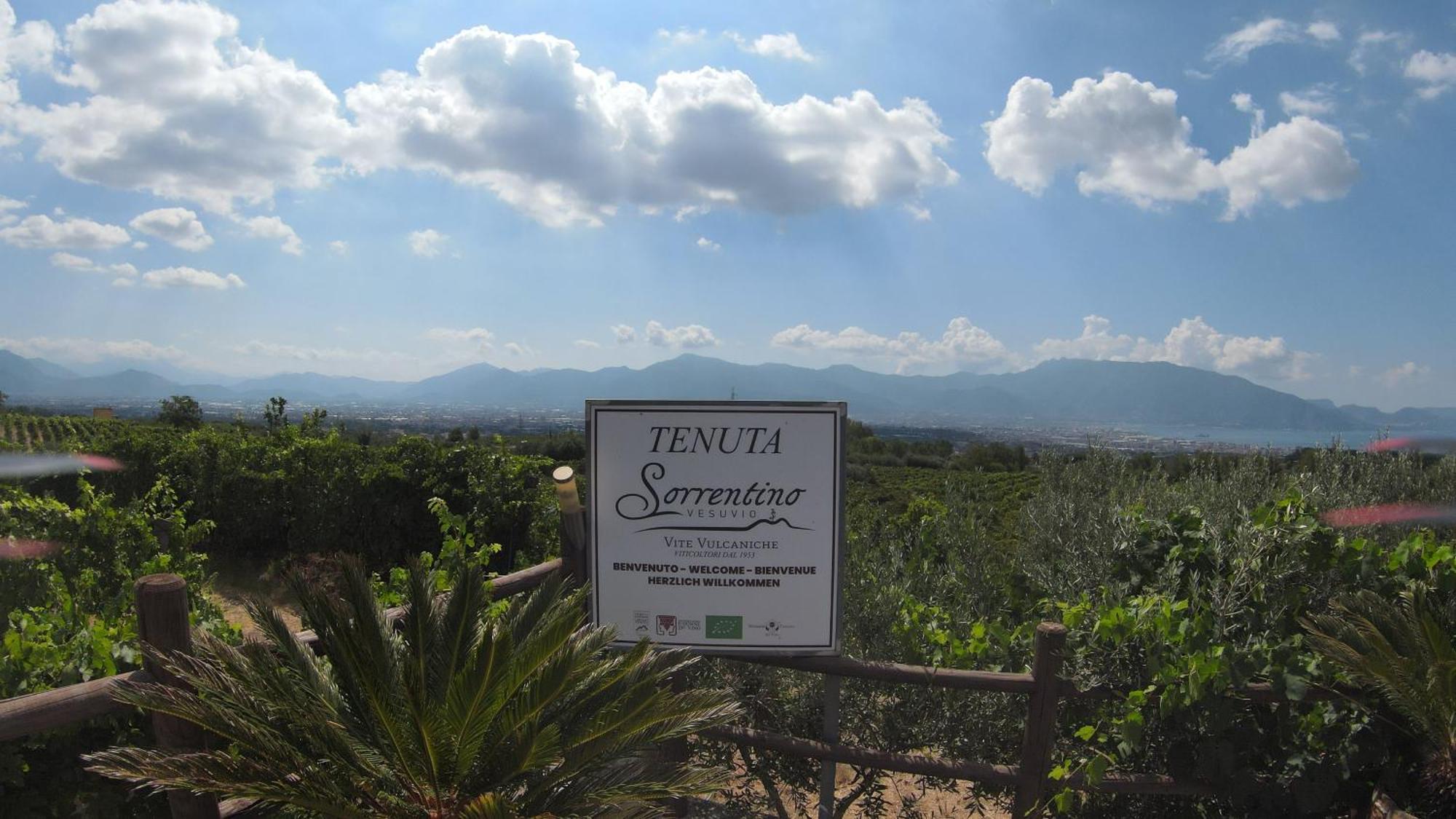 Vesuvio Inn Bed & Wine Experience Boscotrecase Екстериор снимка