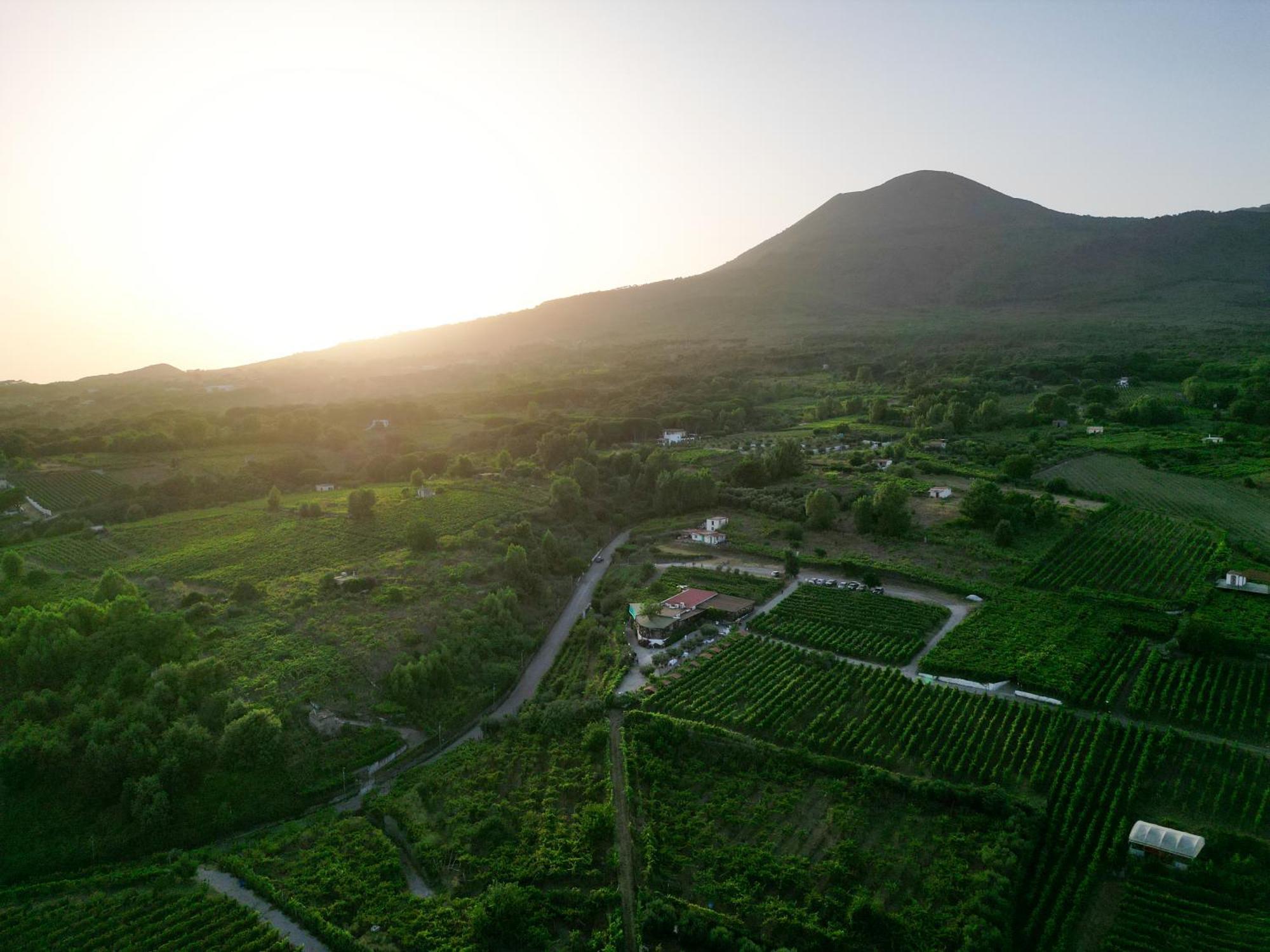 Vesuvio Inn Bed & Wine Experience Boscotrecase Екстериор снимка