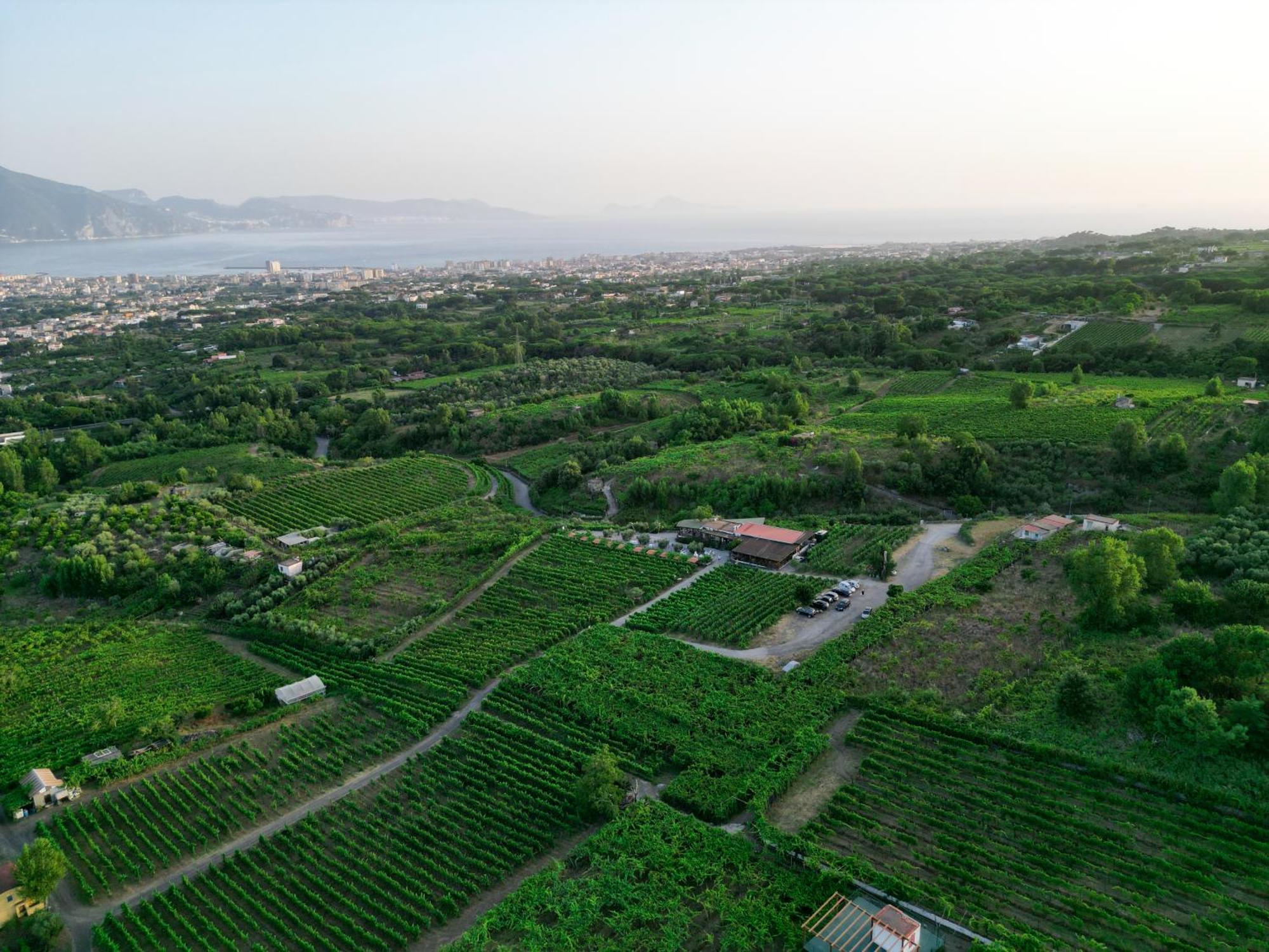 Vesuvio Inn Bed & Wine Experience Boscotrecase Екстериор снимка
