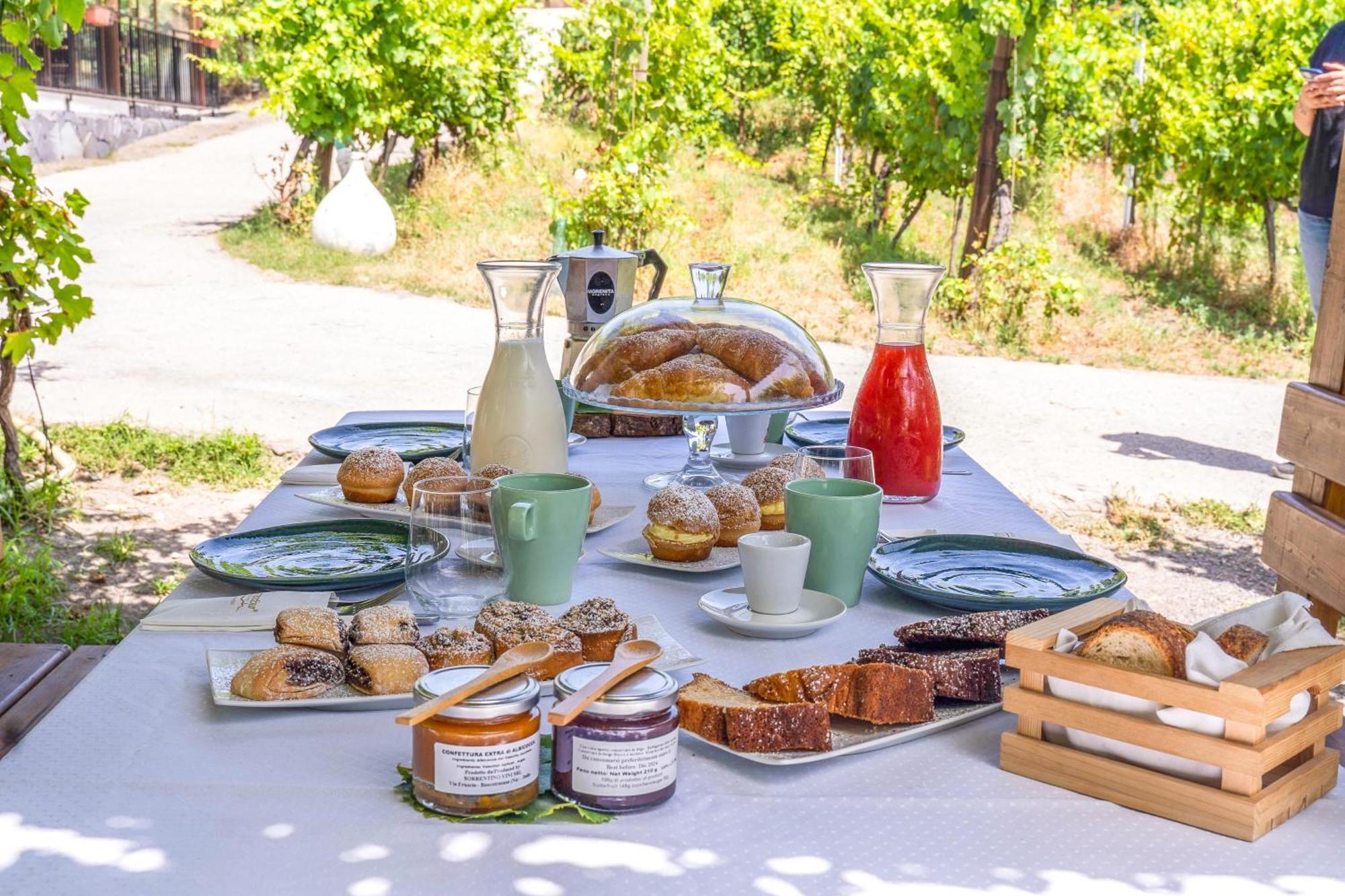 Vesuvio Inn Bed & Wine Experience Boscotrecase Екстериор снимка