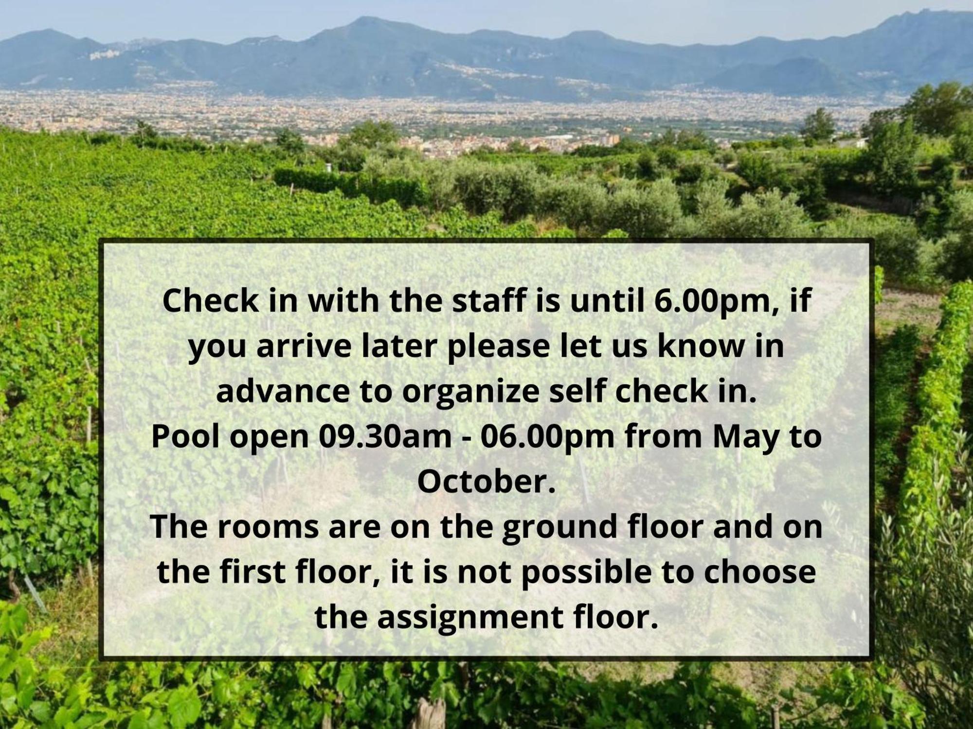 Vesuvio Inn Bed & Wine Experience Boscotrecase Екстериор снимка