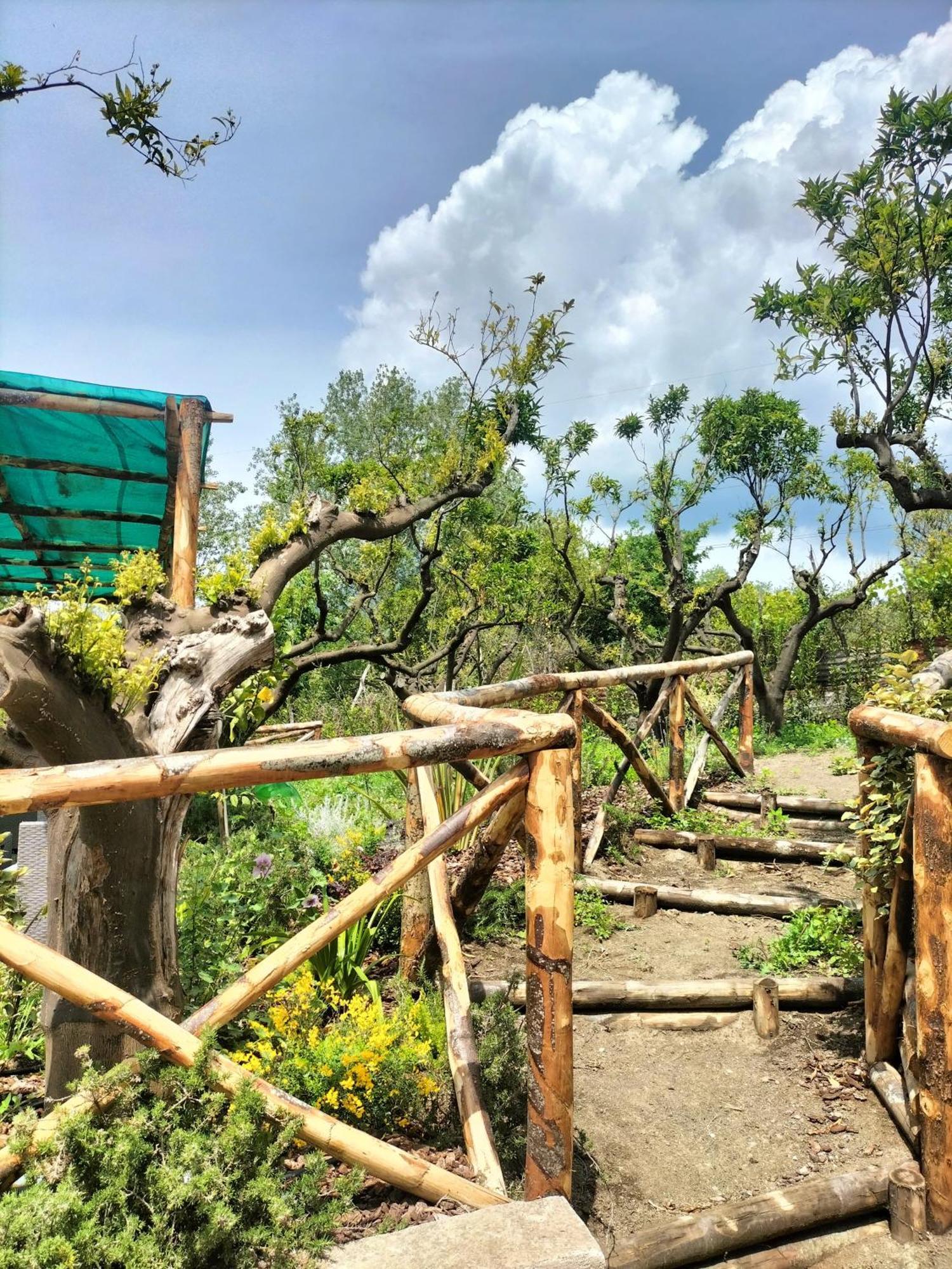 Vesuvio Inn Bed & Wine Experience Boscotrecase Екстериор снимка