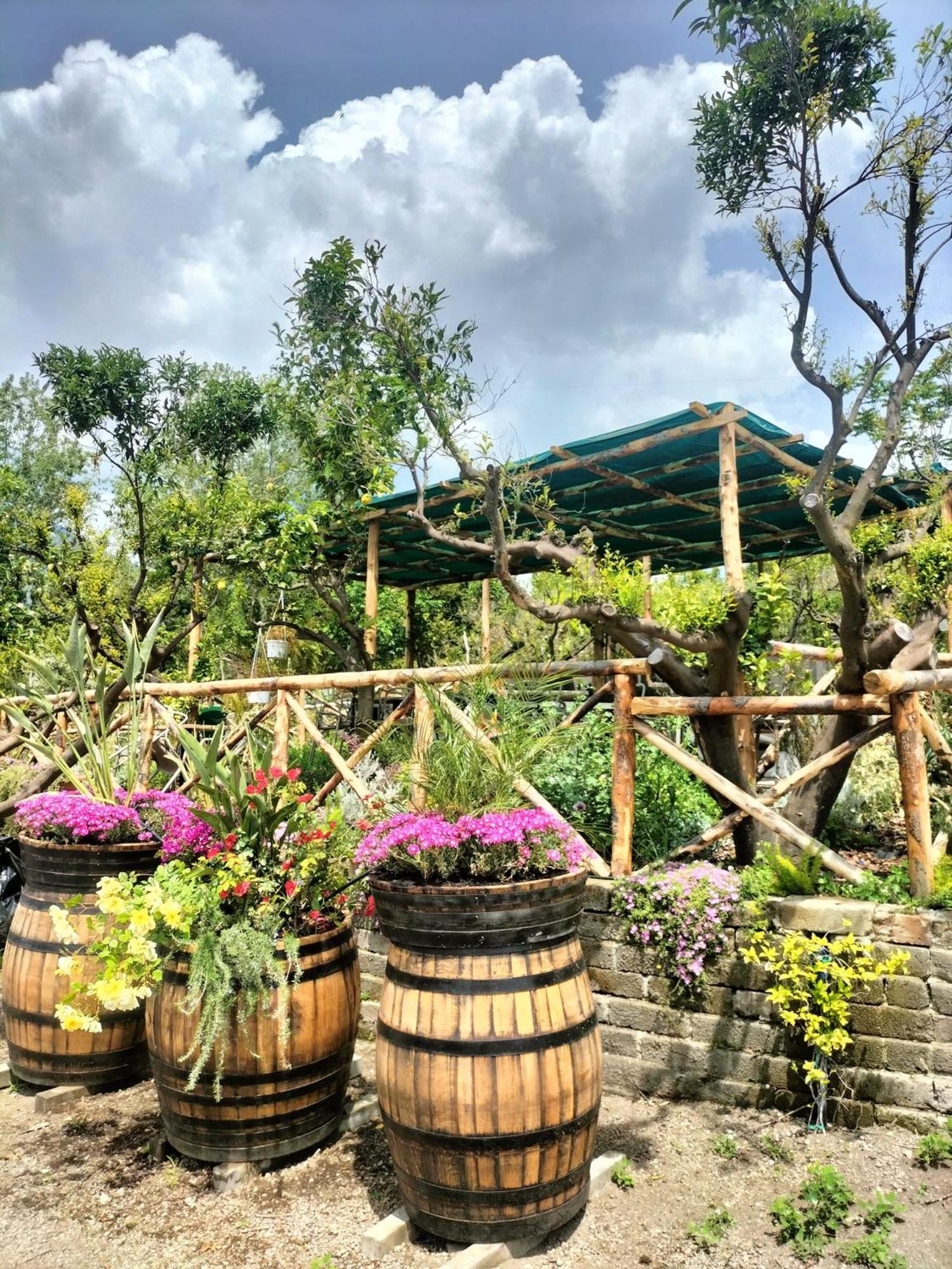 Vesuvio Inn Bed & Wine Experience Boscotrecase Екстериор снимка